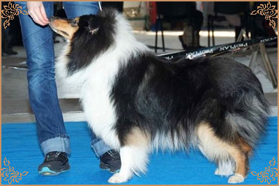 Honeymoon Of Sheryde for Irlain Sixth Sense