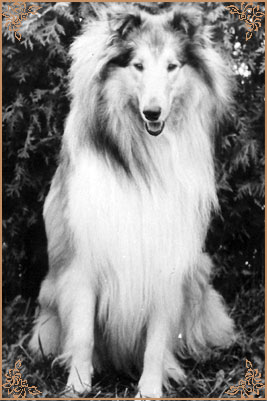 Horacio ze Zlate Tamary