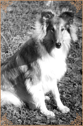 Hugo ze Zlate Tamary