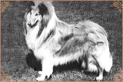 Hugo ze Zlate Tamary