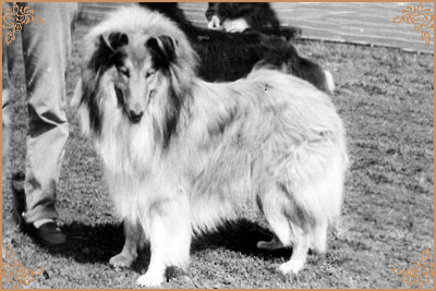 Hugo ze Zlate Tamary