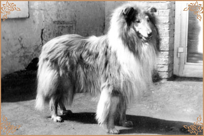 Hugo ze Zlate Tamary