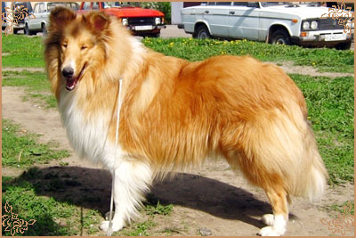 In Search Of The Light of Deslin