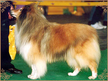 Ingledene Love Thoughts