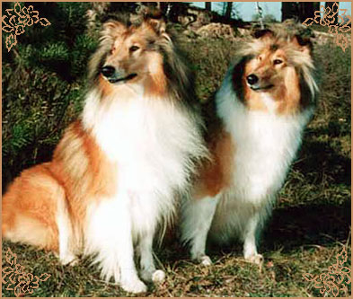 Ingledene Love Thoughts