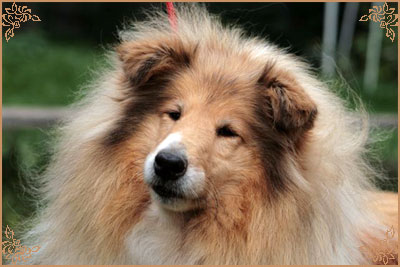 It`s Our Day Dream of Deslin