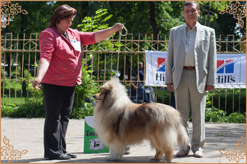 Jake of Lowlands Green Valley