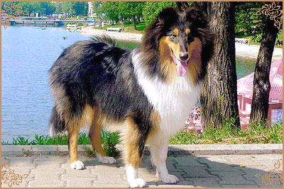 Kaleido Star Aragon The Black Lord