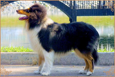 Kaleido Star Aragon The Black Lord