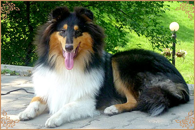 Kaleido Star Aragon The Black Lord