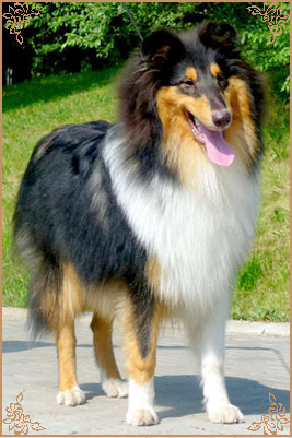 Kaleido Star Aragon The Black Lord