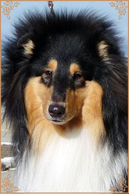 Kaleido Star Aragon The Black Lord