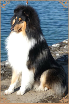 Kaleido Star Aragon The Black Lord