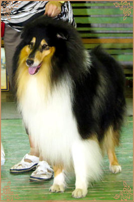 Kaleido Star Aragon The Black Lord