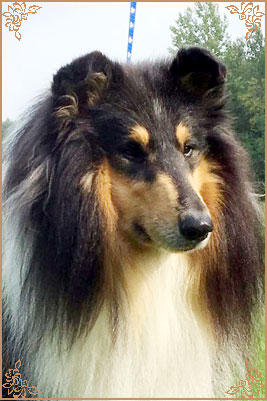 Kangasvuokon Pat Garrett