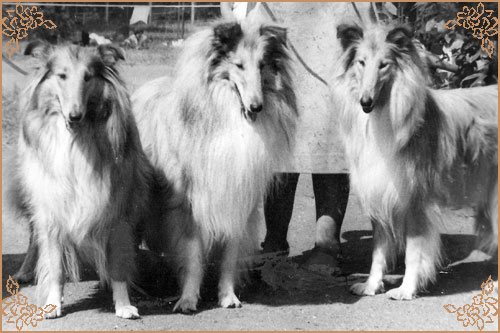 Kerstin ze Zlate Jalny