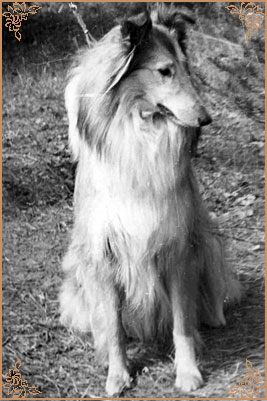 Kerstin ze Zlate Jalny