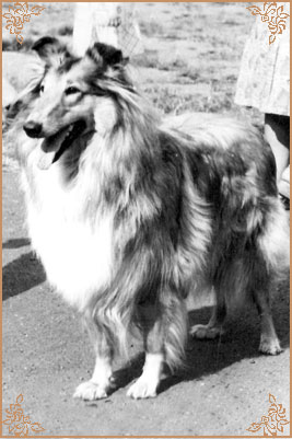 Kerstin ze Zlate Jalny