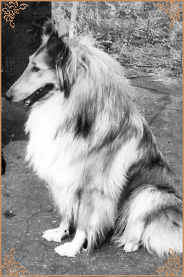 Kerstin ze Zlate Jalny