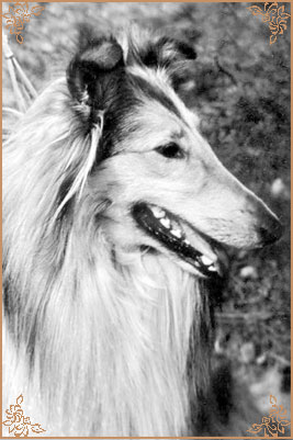 Kerstin ze Zlate Jalny