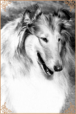 Kerstin ze Zlate Jalny