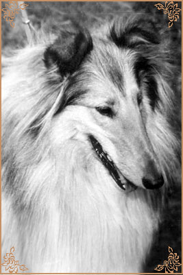 Kerstin ze Zlate Jalny