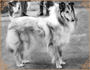 Kerstin ze Zlate Jalny