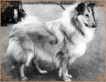 Kerstin ze Zlate Jalny