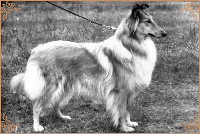 Kerstin ze Zlate Jalny