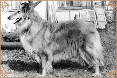 Kerstin ze Zlate Jalny