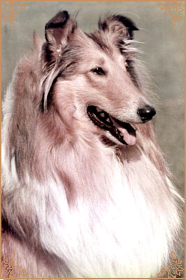 Kerstin ze Zlate Jalny