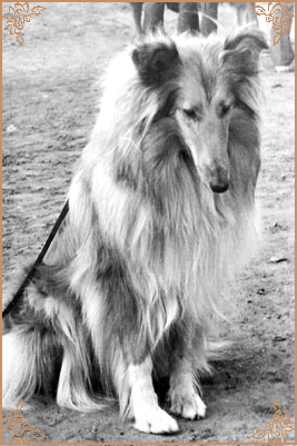 Kerstin ze Zlate Jalny