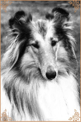 Kerstin ze Zlate Jalny