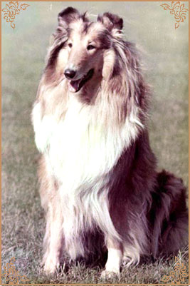 Kerstin ze Zlate Jalny