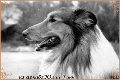 Альнар, Al`nar (b.1970)