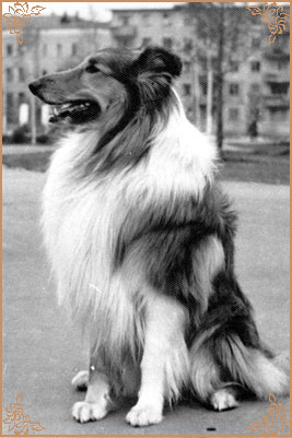 Альнар, Al`nar (b.1970)