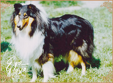 Antoc Walk In The Dark