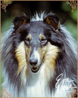 Antoc Walk In The Dark