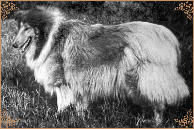 As My Dream In Gold di Cambiano