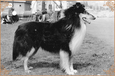 Atlas von der Prignitzer Flur