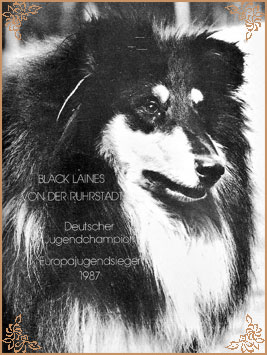 Black Laines von der Ruhrstadt