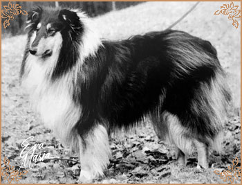 Black Laines von der Ruhrstadt