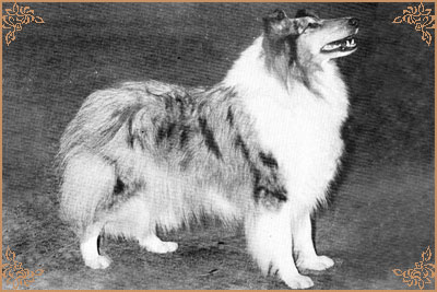 Bririch Blue Yvette, Crufts Winners