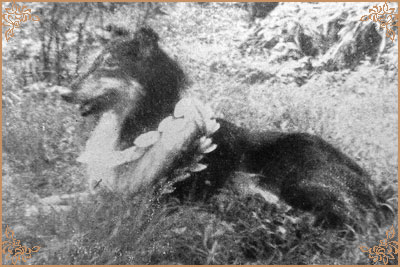 Champus vom Bauerngraben