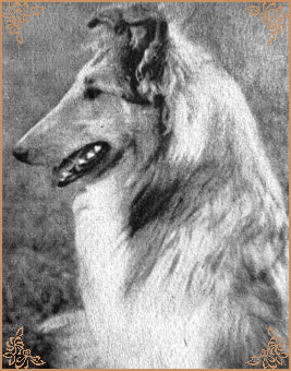 Cheyla vom Haus Marwei