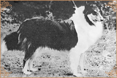 Clare z Jordanske Hraze