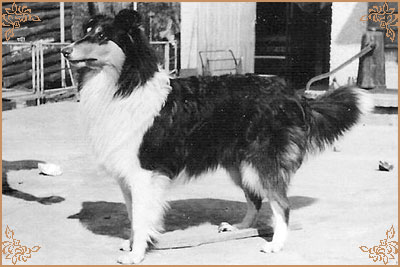 Clare z Jordanske Hraze