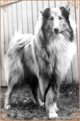 Cornett von Wallbach