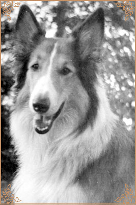 Дез-Джинна, Dez-Dzhinna