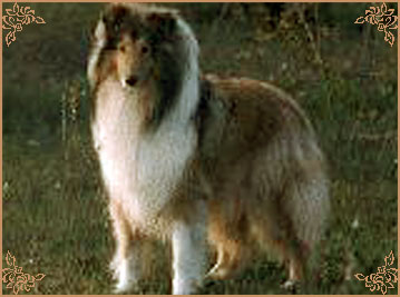 Dreams Of Might di Cambiano